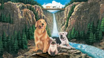 Backdrop to the movie "Homeward Bound: The Incredible Journey" #868941
