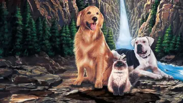 Backdrop to the movie "Homeward Bound: The Incredible Journey" #868942