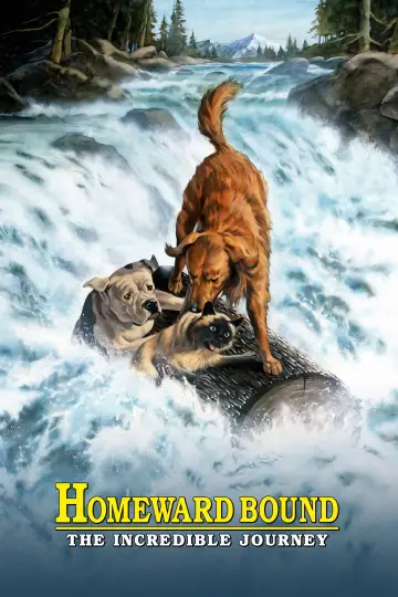 Poster to the movie "Homeward Bound: The Incredible Journey" #868944