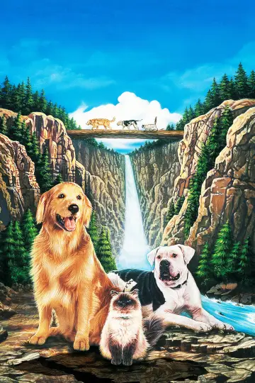 Poster to the movie "Homeward Bound: The Incredible Journey" #868946