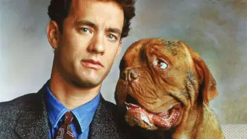 Backdrop to the movie "Turner & Hooch" #289468