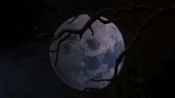 Backdrop to the movie "Army of Darkness" #669654