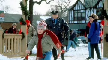 Backdrop to the movie "Home Alone" #1164846