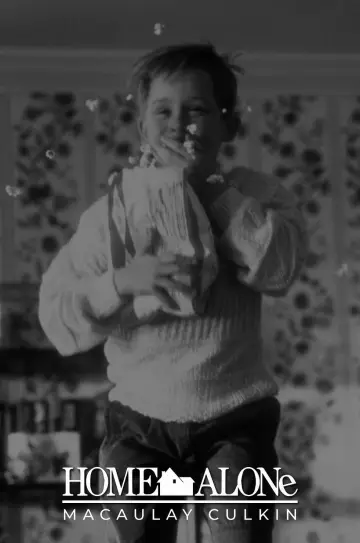Poster to the movie "Home Alone" #1534094