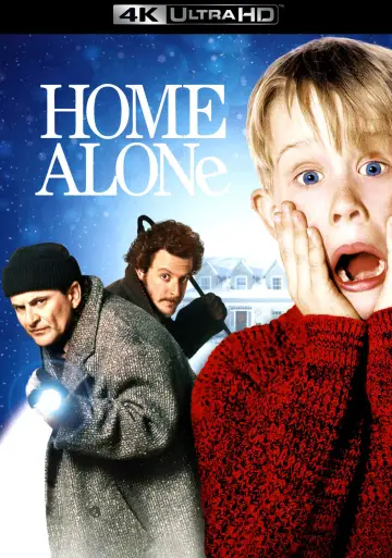 Poster to the movie "Home Alone" #216173