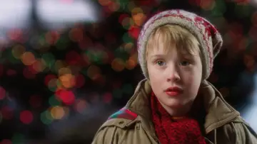 Backdrop to the movie "Home Alone" #849045