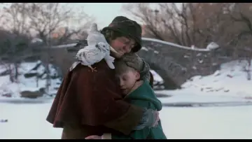 Backdrop to the movie "Home Alone 2: Lost in New York" #566983