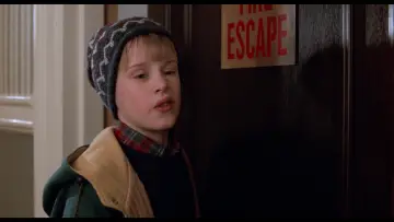 Backdrop to the movie "Home Alone 2: Lost in New York" #566988
