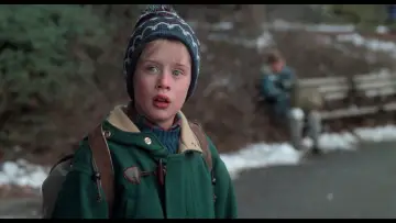 Backdrop to the movie "Home Alone 2: Lost in New York" #567030