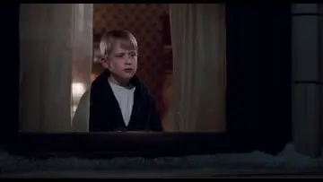 Backdrop to the movie "Home Alone 2: Lost in New York" #567042
