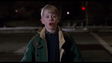 Backdrop to the movie "Home Alone 2: Lost in New York" #567117