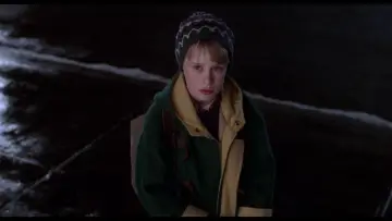 Backdrop to the movie "Home Alone 2: Lost in New York" #567152