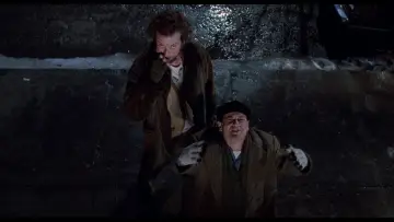 Backdrop to the movie "Home Alone 2: Lost in New York" #567243