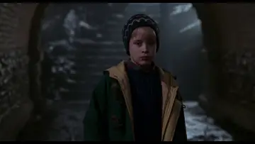 Backdrop to the movie "Home Alone 2: Lost in New York" #567359