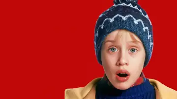 Backdrop to the movie "Home Alone 2: Lost in New York" #567449