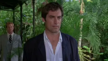 Backdrop to the movie "Licence to Kill" #651396