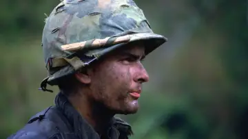 Backdrop to the movie "Platoon" #616028