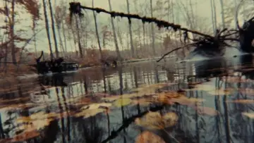 Backdrop to the movie "The Evil Dead" #637048