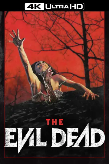 Poster to the movie "The Evil Dead" #1197789