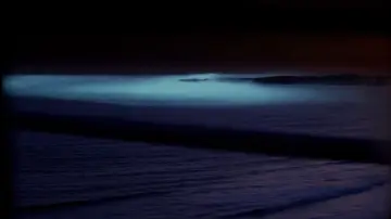 Backdrop to the movie "The Fog" #711335