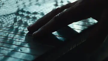 Backdrop to the movie "The Piano" #604168