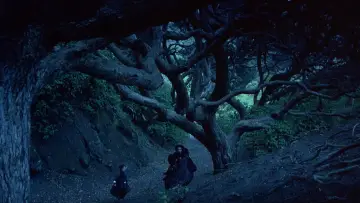 Backdrop to the movie "The Piano" #876904