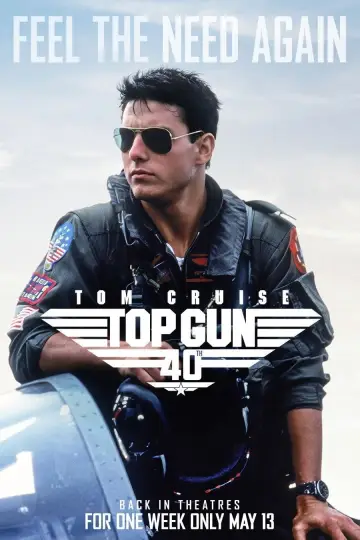 Poster to the movie "Top Gun" #815743