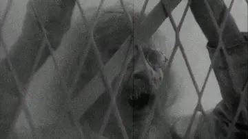 Backdrop to the movie "Vampyr" #988784