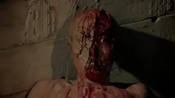 Backdrop to the movie "Doctor Butcher M.D." #436035