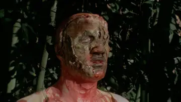 Backdrop to the movie "Doctor Butcher M.D." #436037