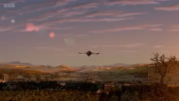 Backdrop to the movie "Chicken Run" #672047