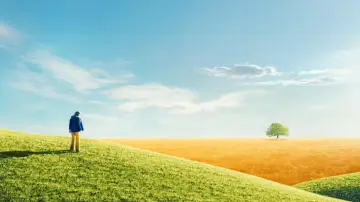 Backdrop to the movie "The Lovely Bones" #654252