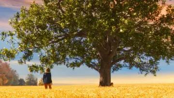 Backdrop to the movie "The Lovely Bones" #654254