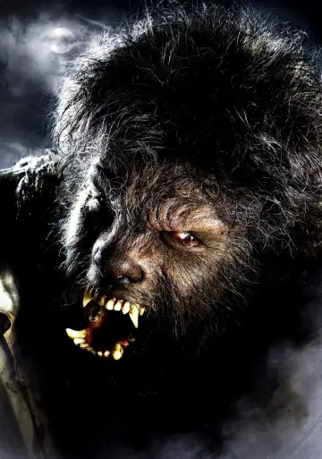Poster to the movie "The Wolfman" #341722