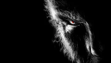 Backdrop to the movie "The Wolfman" #864458