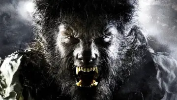 Backdrop to the movie "The Wolfman" #978302