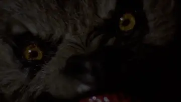 Backdrop to the movie "An American Werewolf in London" #701839