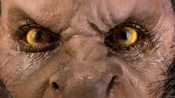 Backdrop to the movie "An American Werewolf in London" #701846