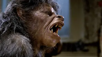Backdrop to the movie "An American Werewolf in London" #701880