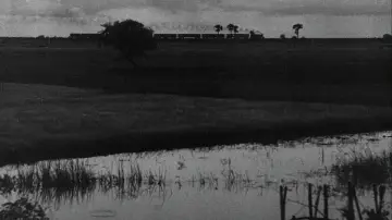 Backdrop to the movie "Aparajito" #1027926