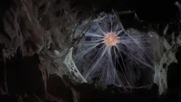 Backdrop to the movie "Krull" #862092