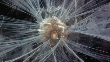 Backdrop to the movie "Krull" #862095
