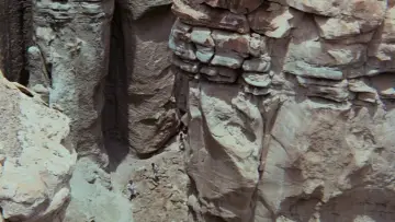 Backdrop to the movie "Planet of the Apes" #655663