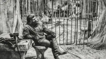 Backdrop to the movie "Planet of the Apes" #655673