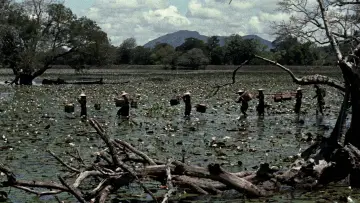 Backdrop to the movie "The Bridge on the River Kwai" #1199763