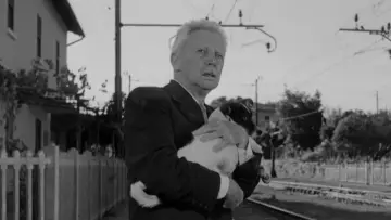 Backdrop to the movie "Umberto D." #1185071