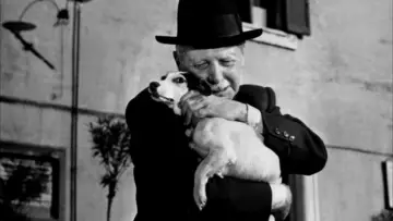 Backdrop to the movie "Umberto D." #183923