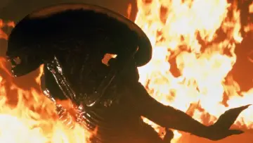 Backdrop to the movie "Alien³" #630582