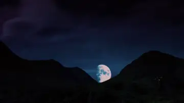 Backdrop to the movie "Highlander" #839265