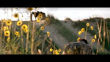 Backdrop to the movie "The Three Burials of Melquiades Estrada" #992157